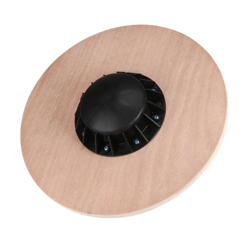 Foundation Stablity Disc